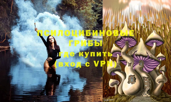 каннабис Баксан